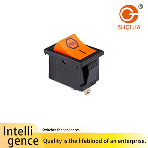 Interruptor de palanca serie R13 1