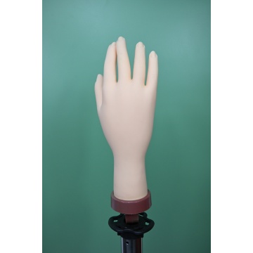 China Professional Nail Mannequin Hand for Jewelry Factory
