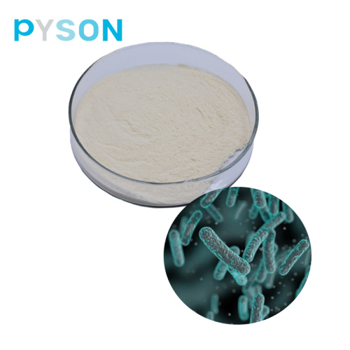 Bifidobacterium bifidum powder ≥100B CFU/g