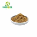 Natural Herbal Cactus Extract Powder