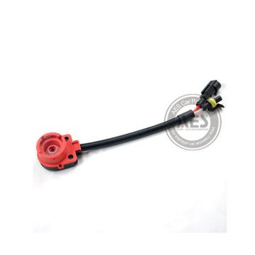 HID XENON BALLAST RELAY AMP TO D2S
