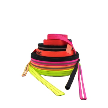 Langlebiger reflektierender Hundekragen Leinenkabelbaum mit festem Muster -Nylon -Gurtband