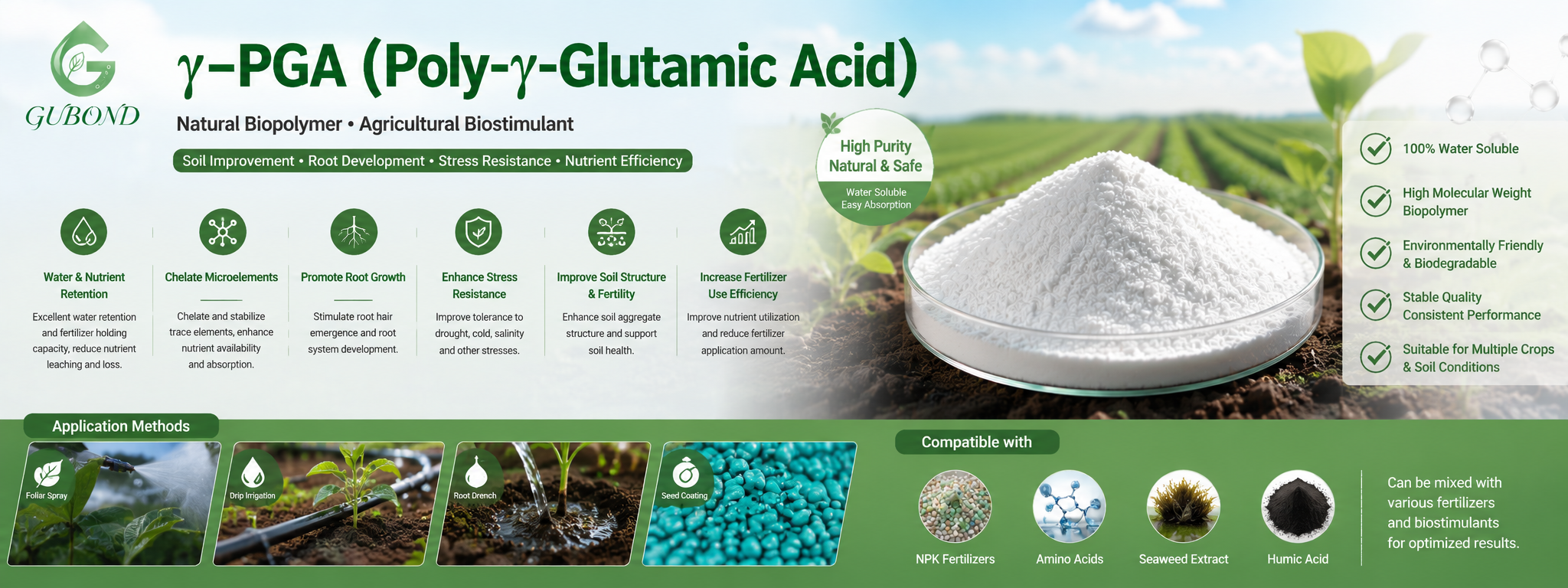 γ‑PGA (Poly‑γ‑Glutamic Acid)