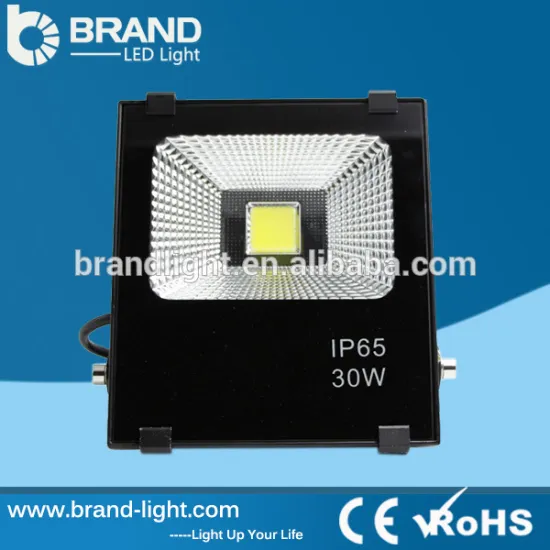 High Quality Outdoor dimmable led flood light AC110/220V 30W dimmable led flood light 4000K