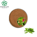 Good Solubility Natural Botanical Extract Andrographis Paniculata Extract