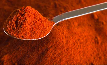 Steam sterilized new crop 250 ASTA paprika powder