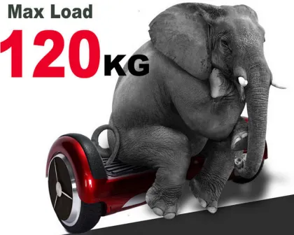 Two Wheels Self Balanced Electric Scooter E-Scooter