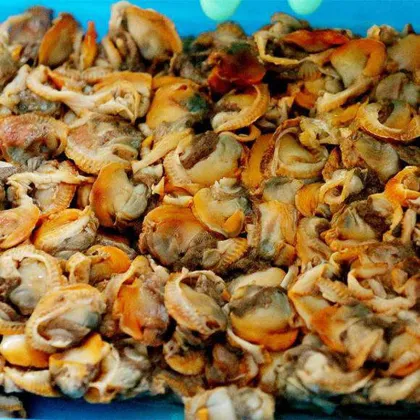 Frozen Boiled Cockle Meat Seafood Delicacy