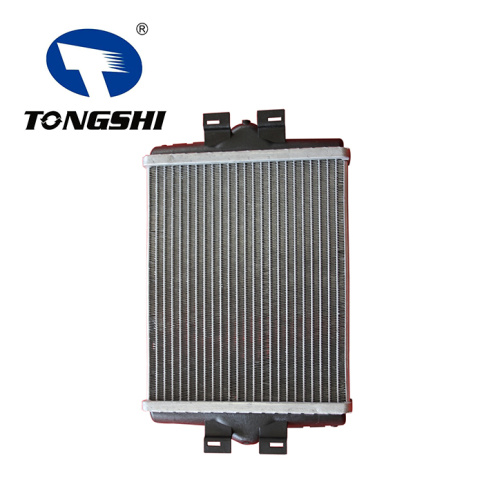 TONGSHI Car Aluminum Heater Core for BMW F20-F30 OEM 17117628057