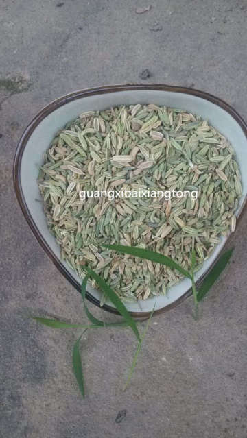 fennel seed