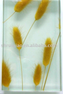 Laminated glass