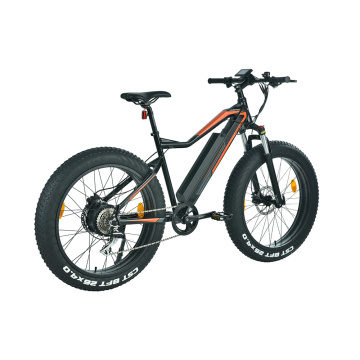 XY-CHAMPION Hybrid 29 Zoll Elektrofahrrad