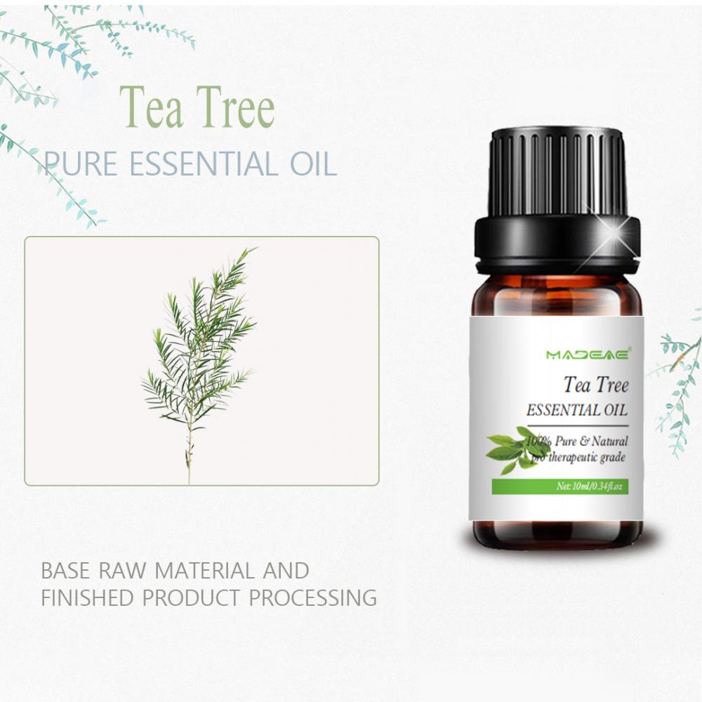 Water Soluble Tea Tree Essential Oil For Skincare