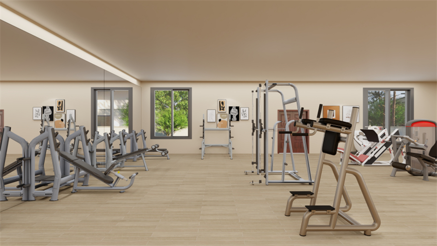 gym equipment for commercial use (3)