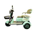 Compact and Stylish Design Electric Tricycle for Urban Commuting