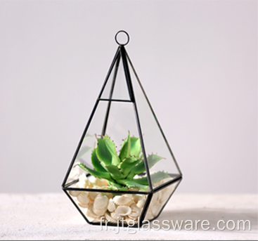 Nouveau produit Terrarium suspendu en verre géométrique d&#39;intérieur