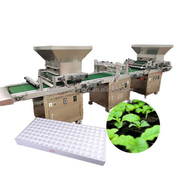 Automatic Tray Seeder Machine for Nursery Sowing - MX Styrofoam Floating Trays and Seeds