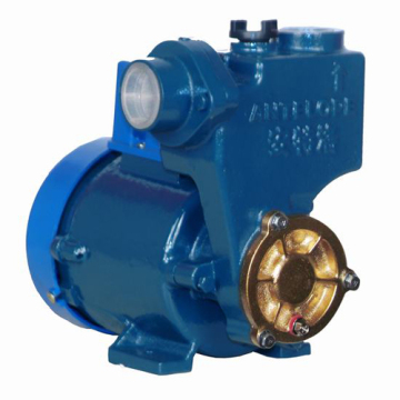 Water Pump (GP125A)