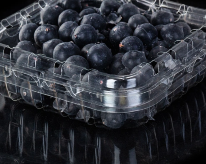 Najlepsza sprzedaż Blueberry Punnet