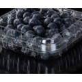 Portable Plastic Fruit Clamshell Box