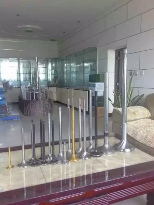 Marine Engine Valve UEC 85 Engine Parts