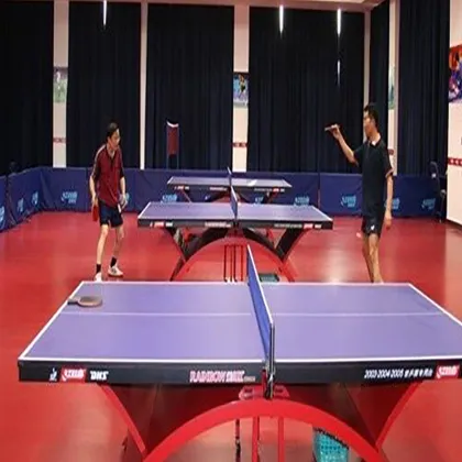 Table Tennis Court Mat Table Tennis Flooring