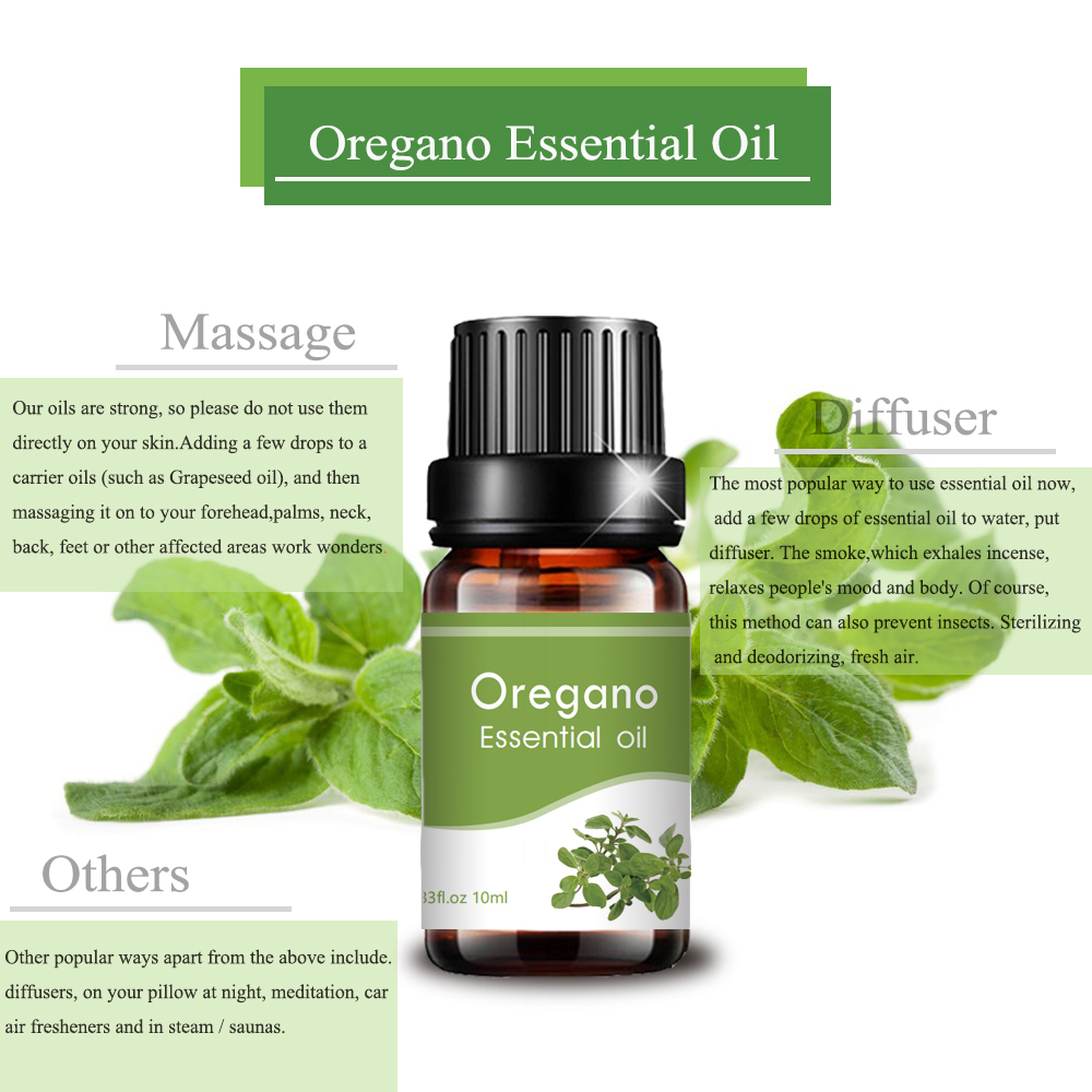 Private label oregano essential oil Clear heat dispel damp