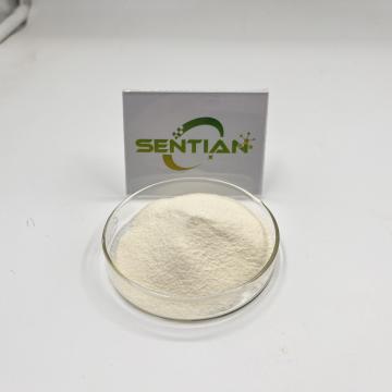High Purity Natural Bromelain Enzyme Powder
