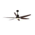 Black Modern Decorative Ceiling Fan