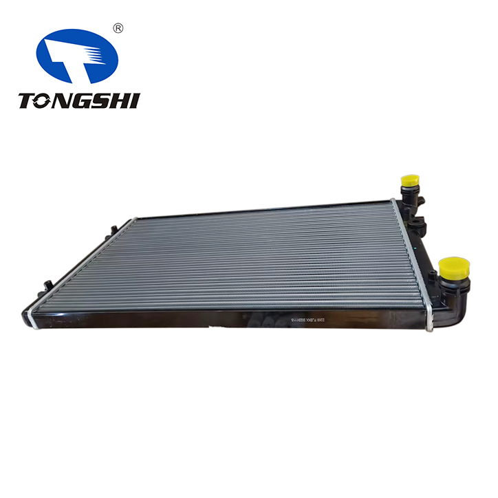 1J0121253S Water Auto Radiator for VW GOLF IV (1J1) 2.3 V5 00/1