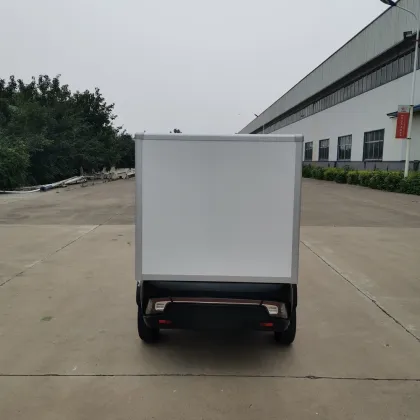 Mini Electric Delivery Van for Flower Delivery