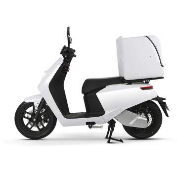 Nmoto 2023: High-Quality Racing Super Electric Motorbike with Powerful Motor - Comprehensive Delivery Series Overview