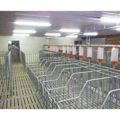 Hot Dip Galvanized Pig Gestation Stalls for Hog Farms
