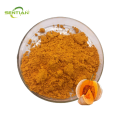 High-quality food-grade pumpkin powder
