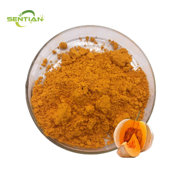 High-quality food-grade pumpkin powder