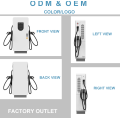 60kW 80kW Ground Mounted DC Charger Double Guns