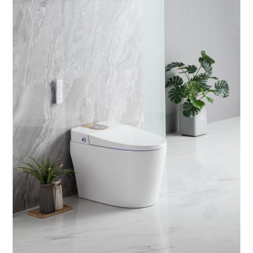 Eco Mode Water Heating Night Light Smart toilet