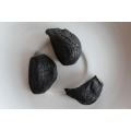 Discount safety Black Garlic for our body