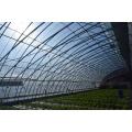 Energy Saving Greenhouse