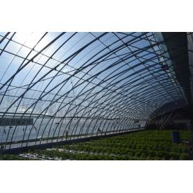 Greenhouse d&#39;économie d&#39;énergie