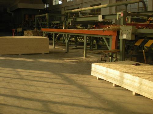 1220 x 2440/1250 x 2500 storlek osb styrelsen /good kvalitet osb styrelse