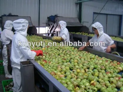 apple juice concentrate(fruit juice)