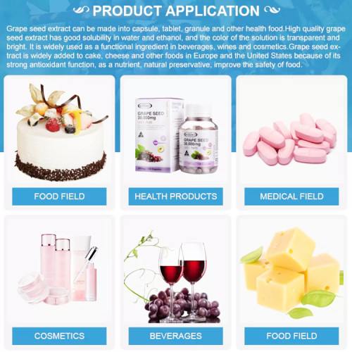 China Antioxidant 95%Procyanidins Grape Seed Extract Manufactory