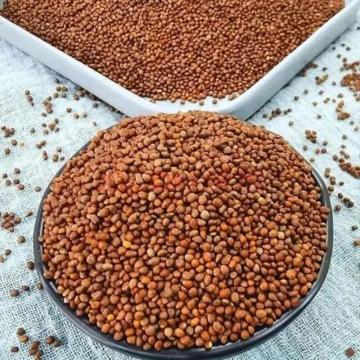 Perilla Seed Benefits For Skin