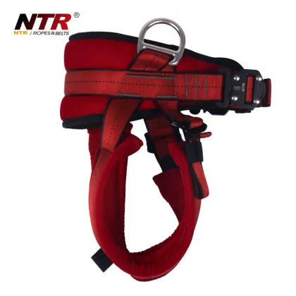 Outdoor sports Children safety Trampoline Harness