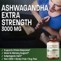 OEM/ODM Performance Enhancement Man Ashwagandha Capsules