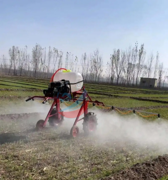 Factory Price 100L Agricultural Hand Push Sprayer Gasoline Powered Boom Spraying Machine