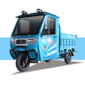 Popular Best-selling electric trike with roof