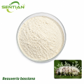 Beauveria bassiana Biological Insecticide for Pest Control