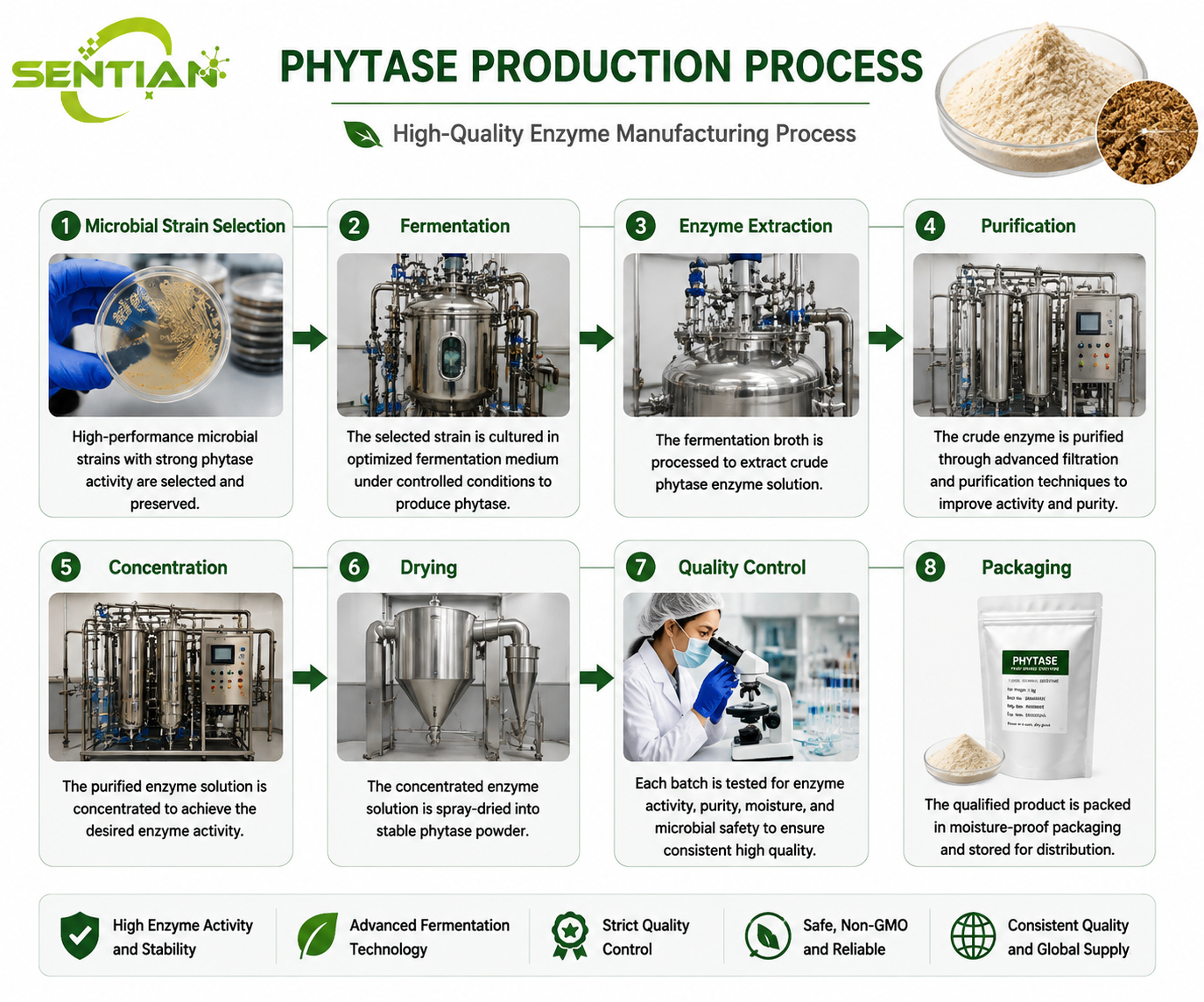 Phytase（1）